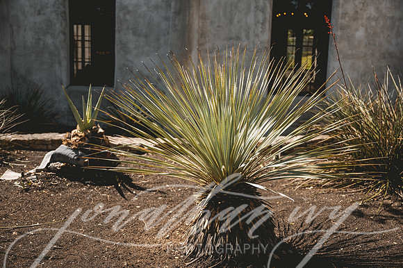 JIP-Alyn-Caitlyn-Wedding-042421-129