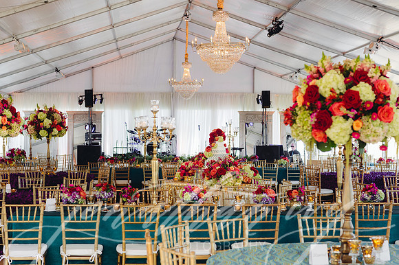 JIP-Draper-Wedding-322