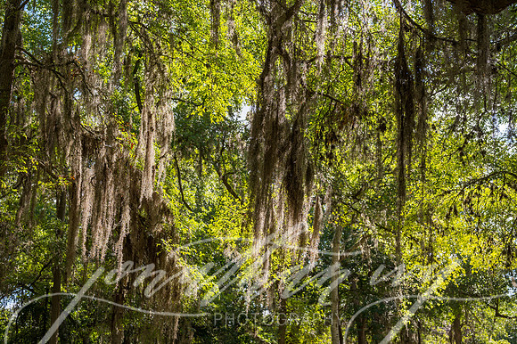 JIP-CityofGonzales-072920-034