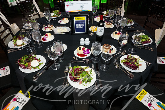 JIP-SeniorsInPlay-SanAnTonyAWards-2025-002