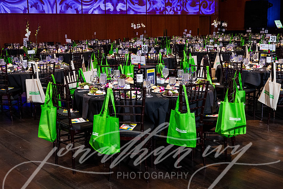 JIP-SeniorsInPlay-SanAnTonyAWards-2025-009