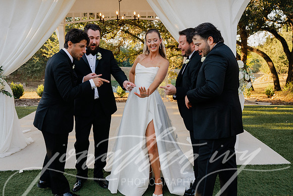 JIP-Allison-AJ-Wedding-101125-387