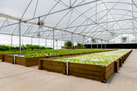 Sustainable Harvest