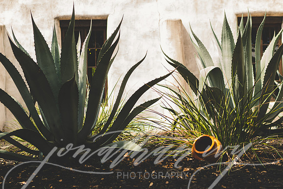JIP-Richardson-Wedding-092819-004
