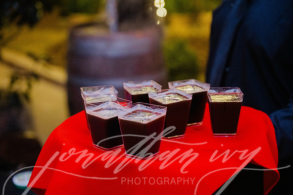 JIP-Houston-Oaks-Wine-Food-Classic-VIP-2026-134
