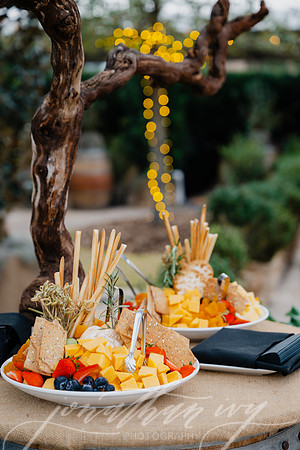 JIP-Houston-Oaks-Wine-Food-Classic-VIP-2026-081