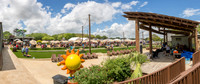 JonathanIvyPhoto-ThePinkEnvelope-Splashway-Crawfish-WineFest-2026-019