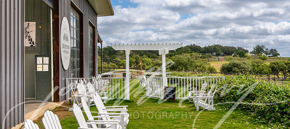 JonathanIvyPhoto-ThePinkEnvelope-Grapetown-Vineyards-005-2
