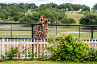JonathanIvyPhoto-ThePinkEnvelope-Grapetown-Vineyards-006