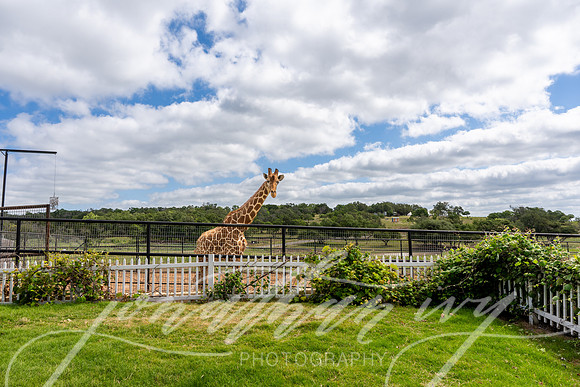 JonathanIvyPhoto-ThePinkEnvelope-Grapetown-Vineyards-010