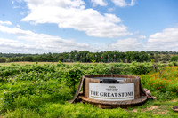 JonathanIvyPhoto-ThePinkEnvelope-Grapetown-Vineyards-009
