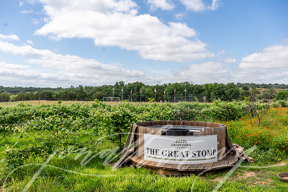 JonathanIvyPhoto-ThePinkEnvelope-Grapetown-Vineyards-009