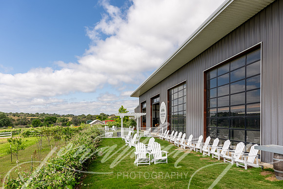 JonathanIvyPhoto-ThePinkEnvelope-Grapetown-Vineyards-011