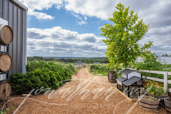 JonathanIvyPhoto-ThePinkEnvelope-Grapetown-Vineyards-002