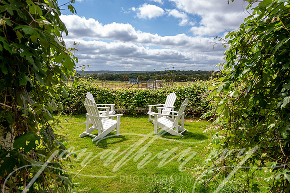 JonathanIvyPhoto-ThePinkEnvelope-Grapetown-Vineyards-004