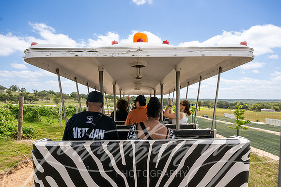 JonathanIvyPhoto-ThePinkEnvelope-Grapetown-Vineyards-020