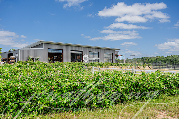 JonathanIvyPhoto-ThePinkEnvelope-Grapetown-Vineyards-022
