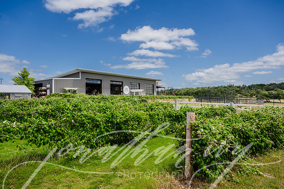 JonathanIvyPhoto-ThePinkEnvelope-Grapetown-Vineyards-021