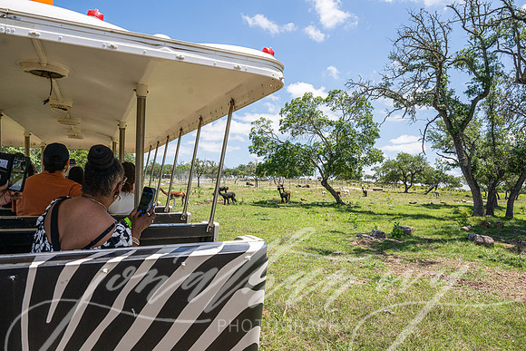 JonathanIvyPhoto-ThePinkEnvelope-Grapetown-Vineyards-024