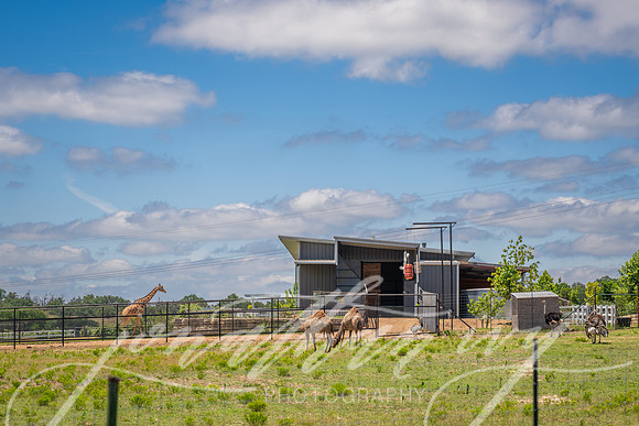 JonathanIvyPhoto-ThePinkEnvelope-Grapetown-Vineyards-027