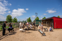 JonathanIvyPhoto-ThePinkEnvelope-Grapetown-Vineyards-016