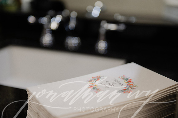 JIP-Megan-Cade-Wedding-053125-230