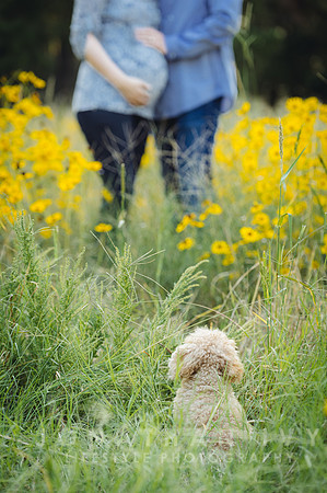JIP-Kristin-Landry-Maternity-12
