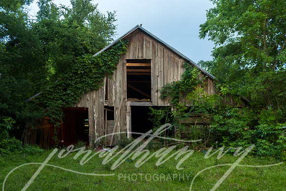 JIP-Haley-Bridal-161