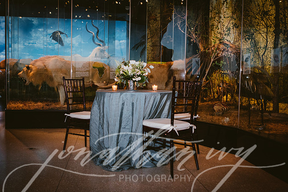 JIP-Vecchio-Wedding-319