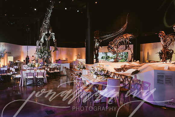 JIP-Vecchio-Wedding-451