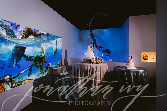 JIP-Vecchio-Wedding-448
