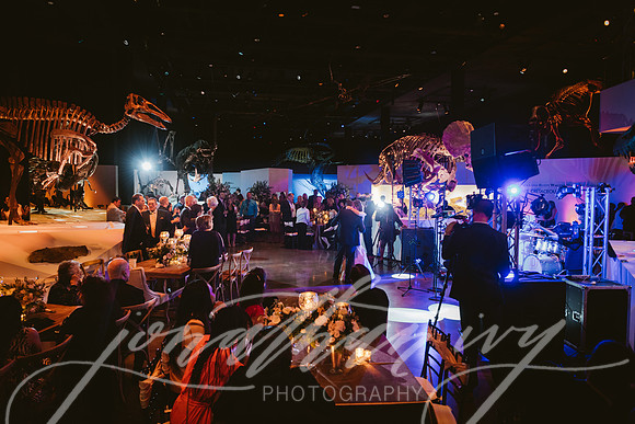 JIP-Vecchio-Wedding-503