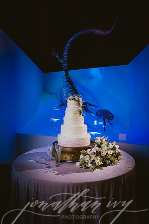JIP-Vecchio-Wedding-445