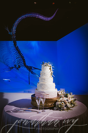 JIP-Vecchio-Wedding-443