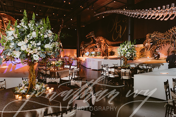 JIP-Vecchio-Wedding-458
