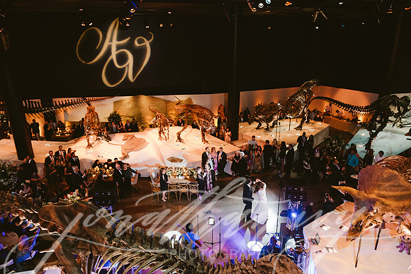 JIP-Vecchio-Wedding-485