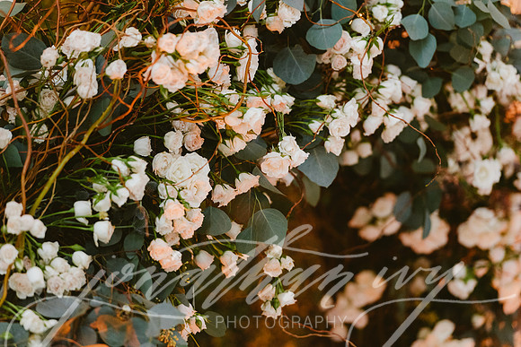 JIP-Vecchio-Wedding-302