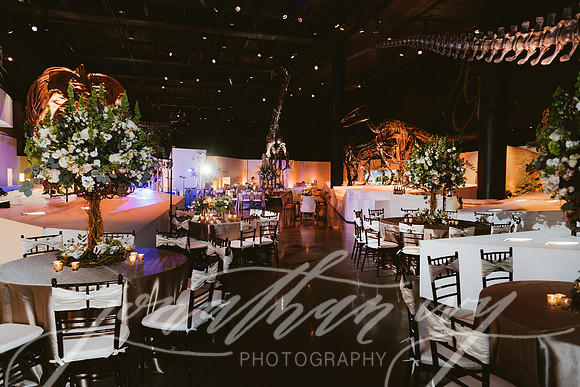 JIP-Vecchio-Wedding-460