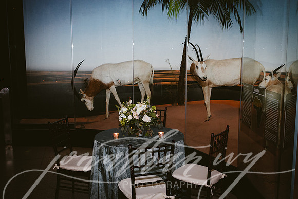 JIP-Vecchio-Wedding-318