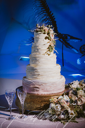 JIP-Vecchio-Wedding-441