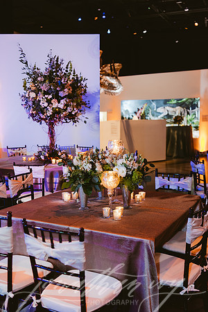 JIP-Vecchio-Wedding-454