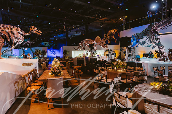 JIP-Vecchio-Wedding-322
