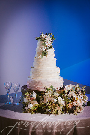 JIP-Vecchio-Wedding-444