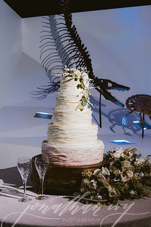 JIP-Vecchio-Wedding-439