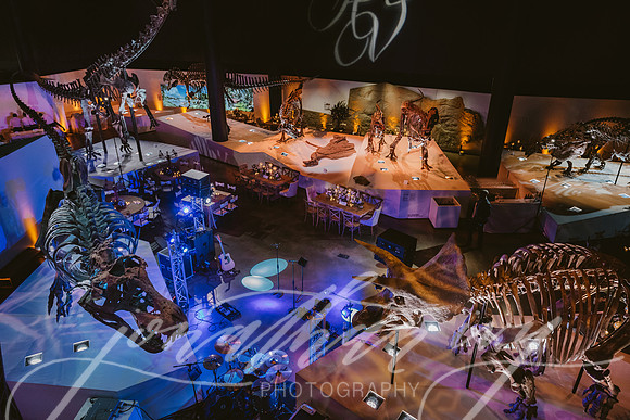 JIP-Vecchio-Wedding-425