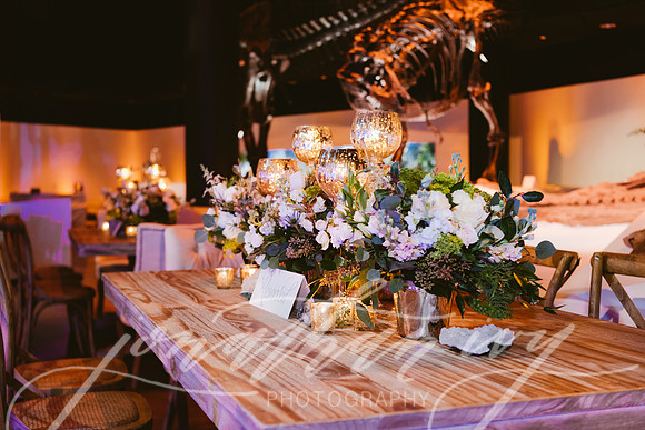 JIP-Vecchio-Wedding-453