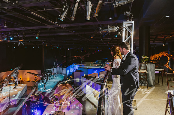 JIP-Vecchio-Wedding-435