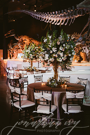 JIP-Vecchio-Wedding-463