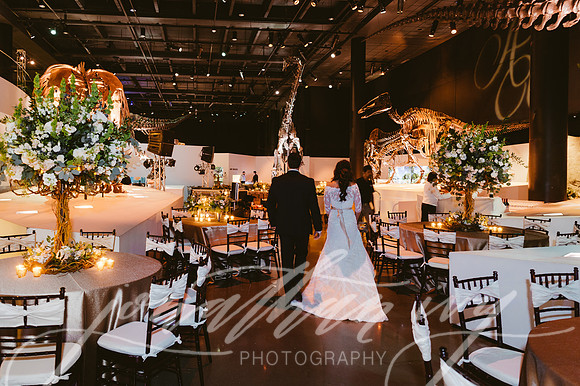 JIP-Vecchio-Wedding-317