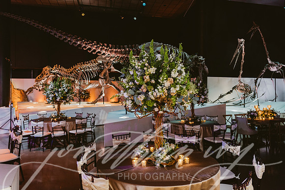 JIP-Vecchio-Wedding-456